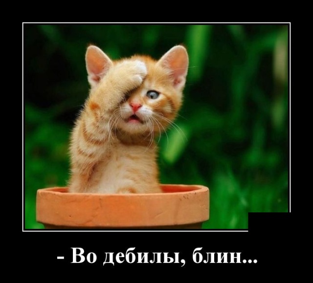 В сети комментируют заявление Путина о готовности России оплатить "Северный поток -2":" Может хватит унижать Великую страну?!"