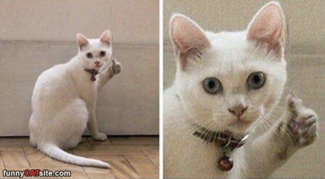 Город, в котором хочется жить