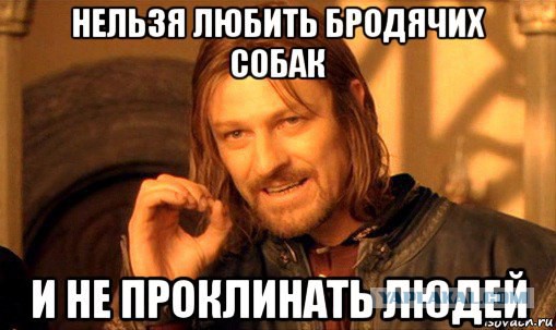 в Петербурге травившую собак догхантершу "накормили" отравленным мясом