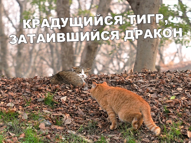 Картинки с надписями, истории и анекдоты 13.09.19