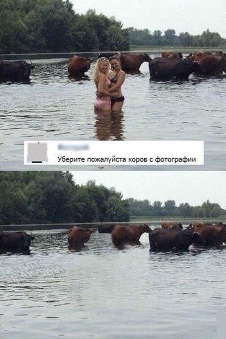 Стеб и маразм в картинках