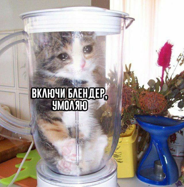 Безнадёга (всё плохо)