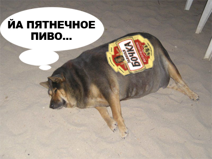 Фотожаба: О чем же думает собака?....