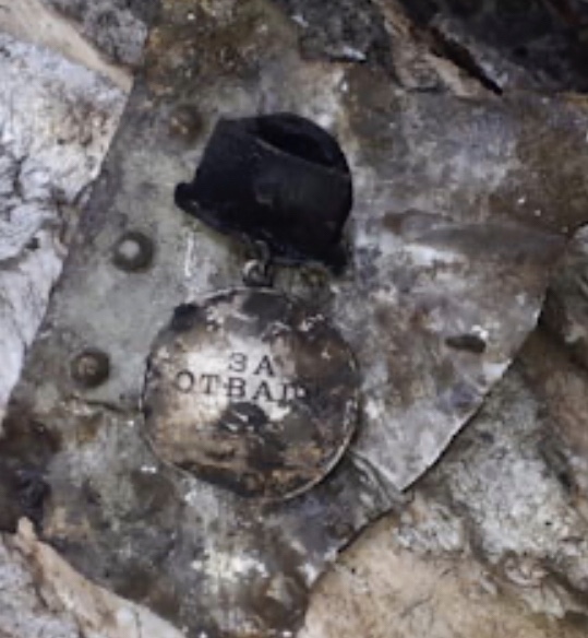 Поисковики ЗВО нашли под Петербургом сбитый в 1943 году Ил-2