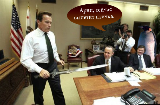 Подарок Терминатору