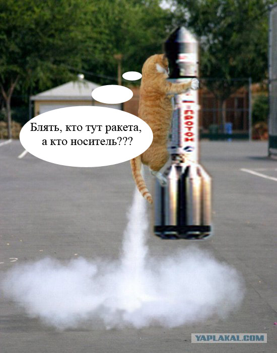 Кот - космонавт