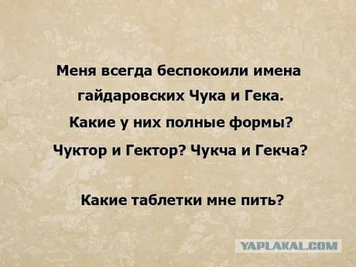 Фотки и картинки: юморные и красивые, забавные и милые 13.09.20