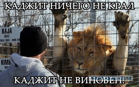 Картинки всякие