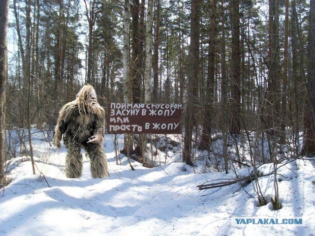 Не надо мусорить