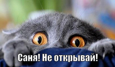 "Саня, открой" По-Австралийски