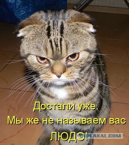 Это наша песочница!