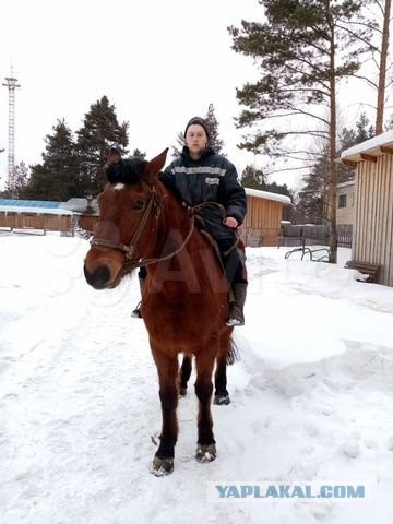 Зашёл в магазин для казаков и посмотрел почём там бурки, шашки, нагайки и медальки