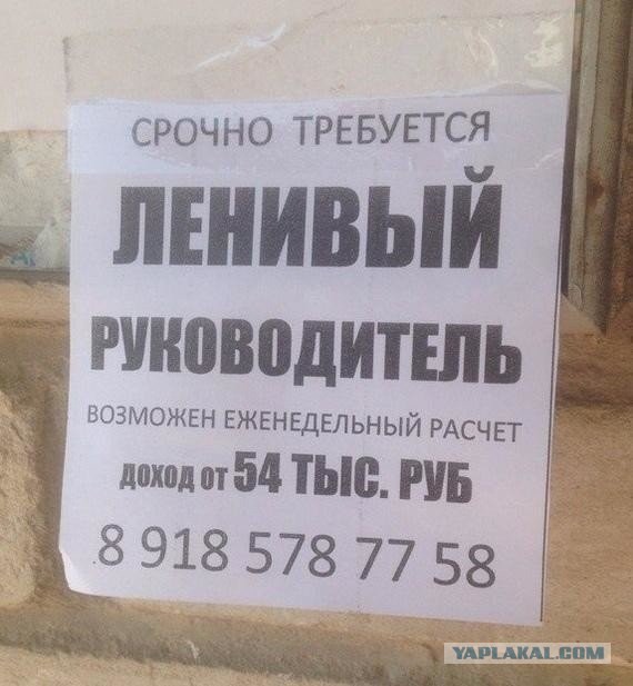 Ситуации, которые могли произойти только с управленцами