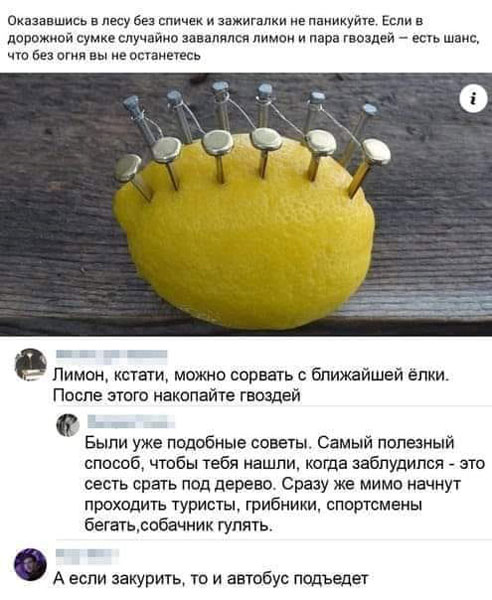 Весёлый полтишок 29.04