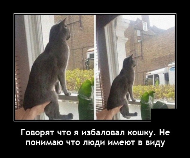 Доза юмора на выходные