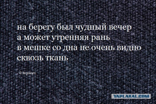 Чёрный четверг для деградантов