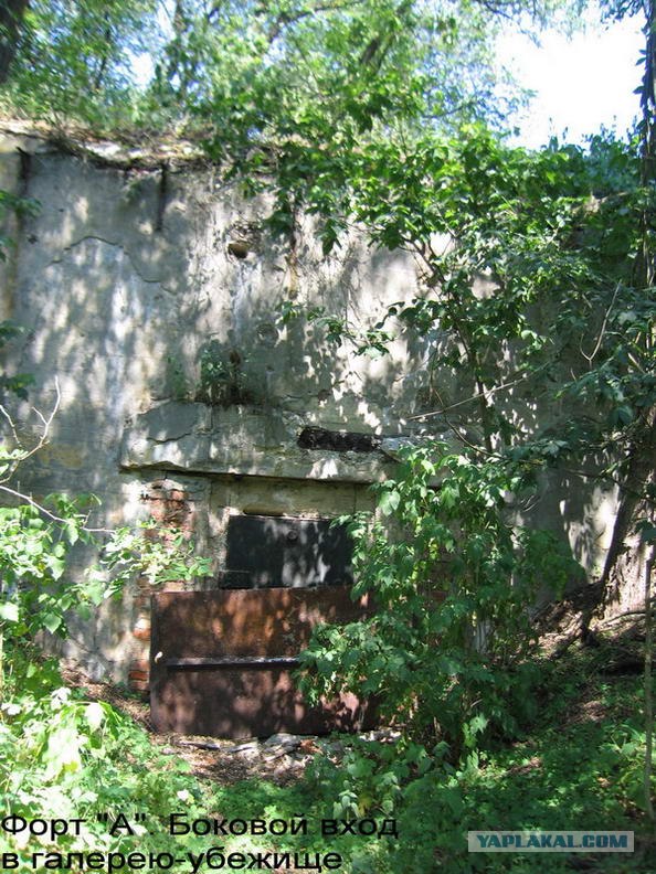 Форты Бреста
