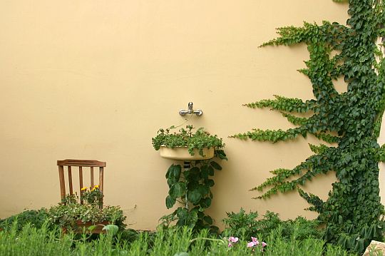 Приют катящихся Анархистов