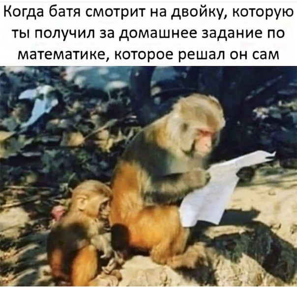 Суббота? Опять напился? Надо, чтобы убило? Тебе сюда