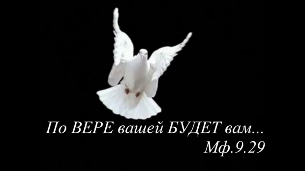 Звонок на тот свет