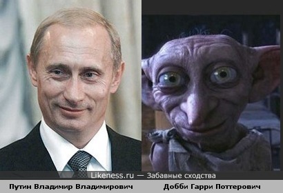 На нашего Буншу похож