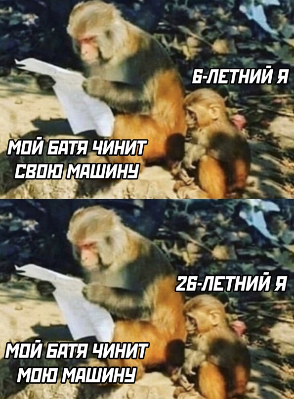 Весёлый полтишок 30.03.22