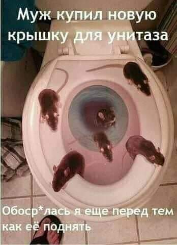 Фото-винегрет-4. Картинки ниапчём и обо всём