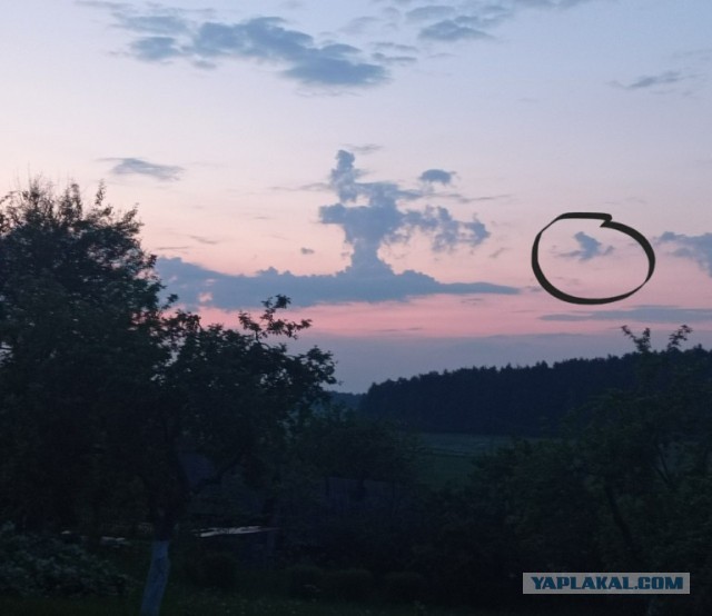 Допился?