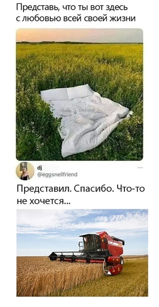 Скриншоты и комментарии из социальных сетей 04.09.22