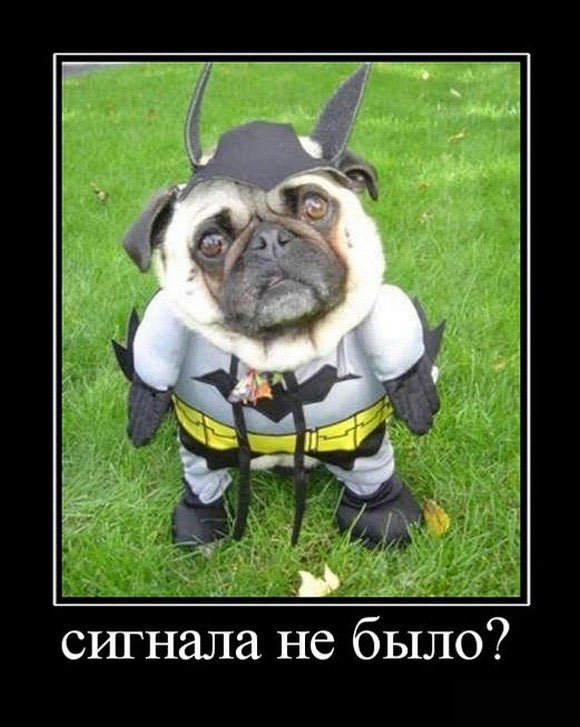 Леший унёс дерево