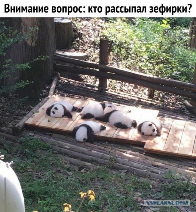 Немного картинок для настроения 07.03.2023