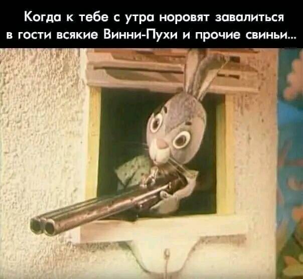 Победная поступь идиотизма по планете – том 12