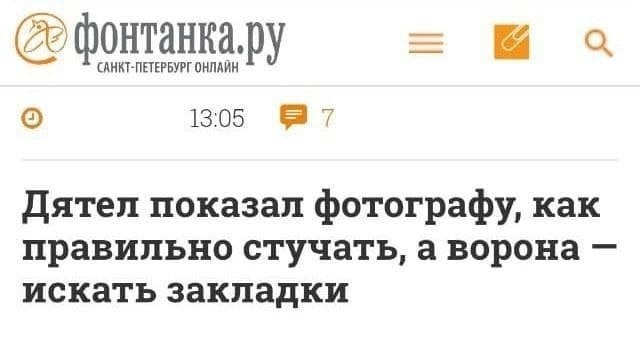 Забавные шутки и картинки из этих ваших интернетов