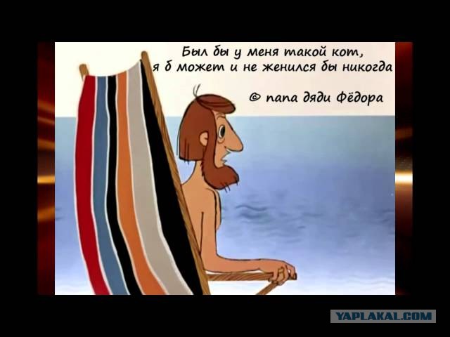 Подобрал кошака на свою голову!