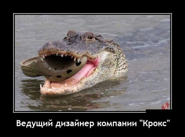 Стыренные картинки