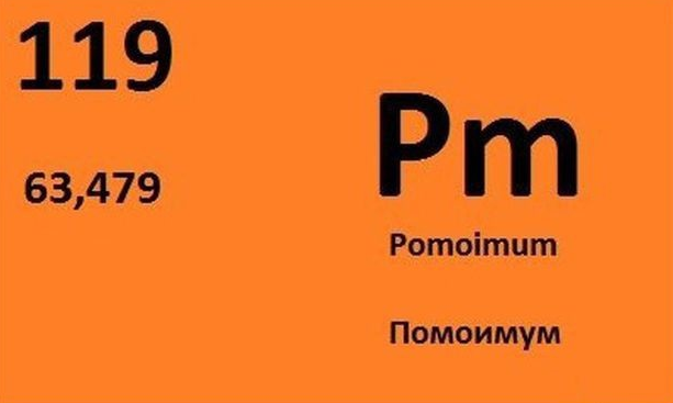 Дочь Рамзана Кадырова назначена на министерскую должность