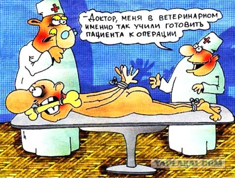 Семья ветеринаров