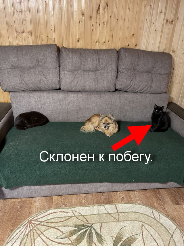 Вернулся, охламон…