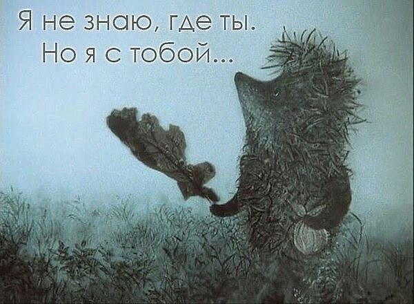 Прикольные и просто красивые картинки 11.04.2025