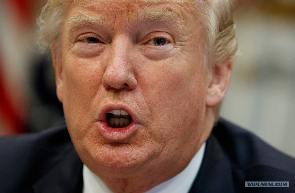 Размышления о Трампе