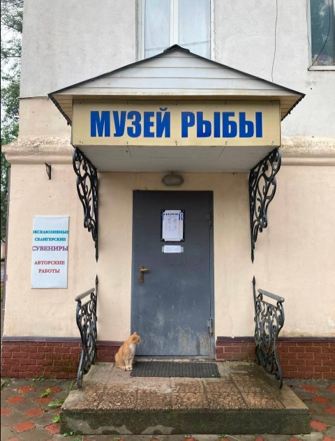 Так себе картинки 06.07.25