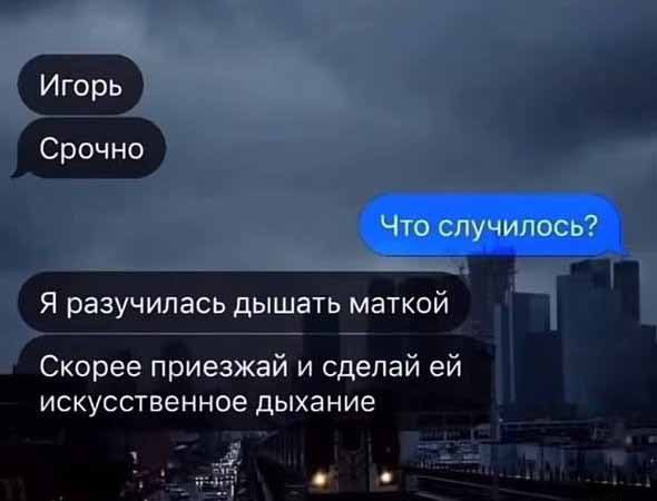 Веселое настроение в картинках 24.07.25