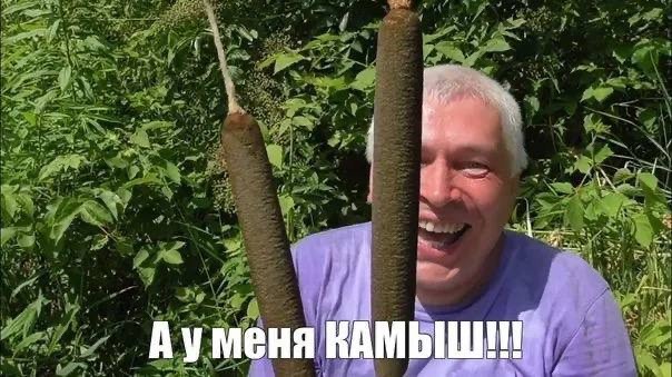 Китай приступил к завершающему этапу эксплуатационных испытаний CR450