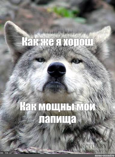 Ученый раскрыл смысл сигнала с «инопланетного корабля» 3I/ATLAS.