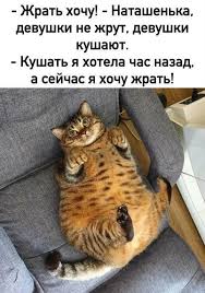 Картиночки, баянчики  04 декабря