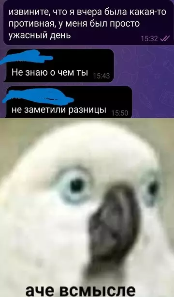 Картиночки, баянчики 13 марта