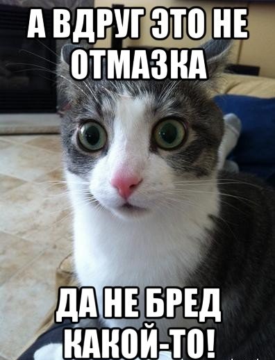 ФСБ предотвратила теракт против руководителей Роскомнадзора