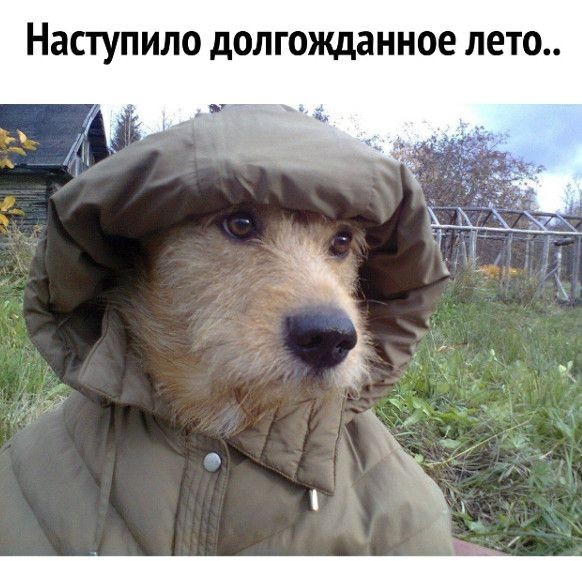 С первым июня