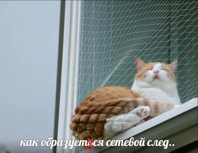Картинки для деградации 238 (разной степени свежести)