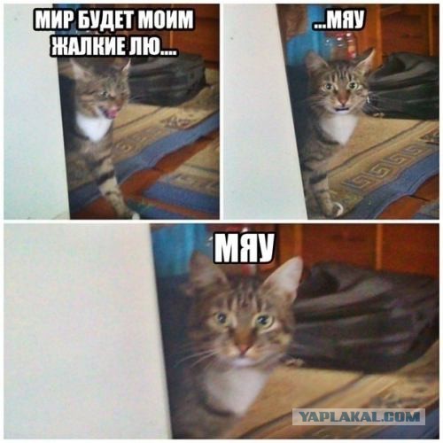 Щенки вызывают сатану